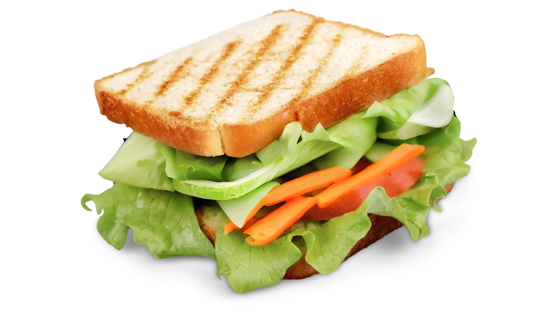 Fresh Sandwich
